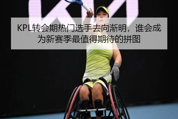 KPL转会期热门选手去向渐明，谁会成为新赛季最值得期待的拼图 - ygrbuyu